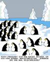 Cartoon: Pinguine (small) by Karsten Schley tagged arktis globale erwärmung tiere natur