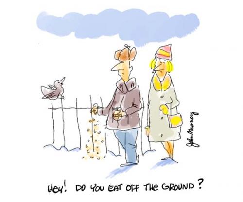 Cartoon: For The Birds (medium) by John Meaney tagged bird,food,snow