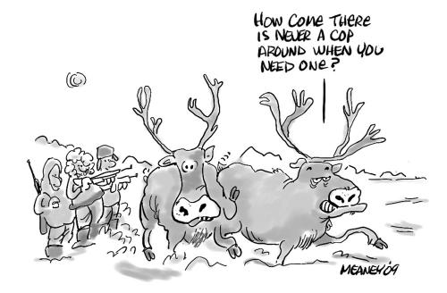 Cartoon: Illegal Hunt (medium) by John Meaney tagged hunt,shoot,caribou