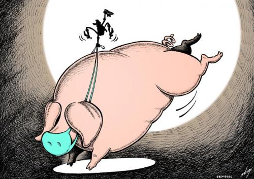 Cartoon: Bucking Swine Flu (medium) by rodrigo tagged flu,influenza,swine,h1n1,disease,health,mexico