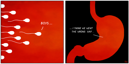 Boys Boys