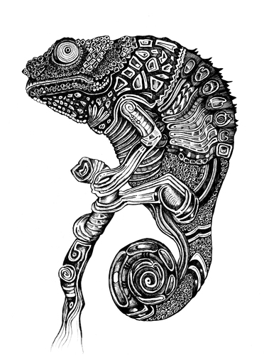 Cartoon: Chameleon (medium) by Battlestar tagged exotic,natur,nature,illustration,zeichnung,drawing,blackandwhite,chameleon,chamäleon,tiere,animal