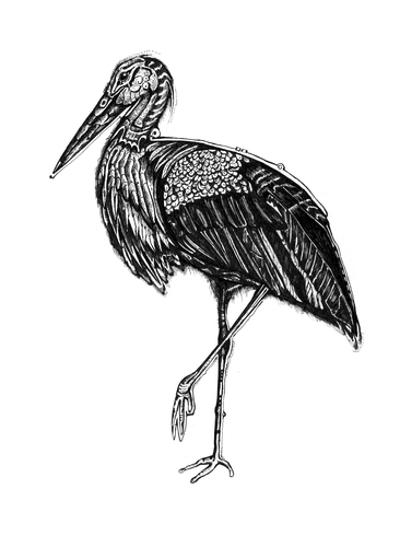 Cartoon: storch (medium) by Battlestar tagged storch,stork,animals,tiere