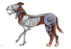 Cartoon: Hard Drive Dog (small) by Battlestar tagged illustration,hund,dog,animals,tiere,skeleton,skelett,festplatte,nature,natur