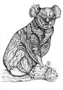 Cartoon: koala (small) by Battlestar tagged koala,tiere,animals