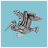 Cartoon: Pelican (small) by Battlestar tagged pelican,animals,tiere,pelikan,nature,natur,zeichnung,illustration