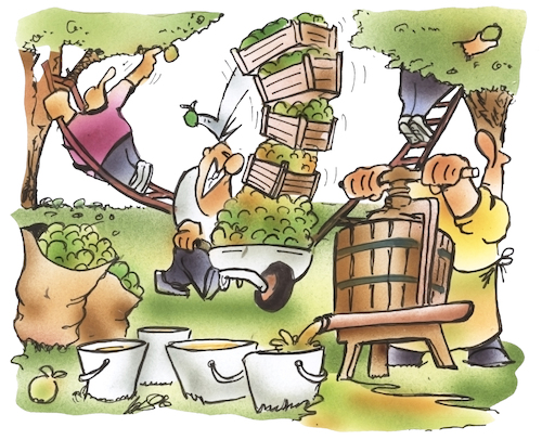 Cartoon: Apfelernte (medium) by HSB-Cartoon tagged apfel,äpfel,apfelbaum,apfelernte,herbst,herbstzeit,garten,gartenarbeit,apfelpresse,apfelmost,apfelsaft,gärtner,pflücken,obstbaum,obsternte,apfelkiste,boskoop,elstar,jonagold,berlepsch,idared,cartoon,apfel,äpfel,apfelbaum,apfelernte,herbst,herbstzeit,garten,gartenarbeit,apfelpresse,apfelmost,apfelsaft,gärtner,pflücken,obstbaum,obsternte,apfelkiste,boskoop,elstar,jonagold,berlepsch,idared,cartoon