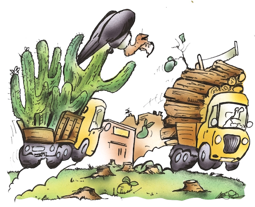 Klimaresistente Anpflanzungen Klimaresistente Anpflanzungen