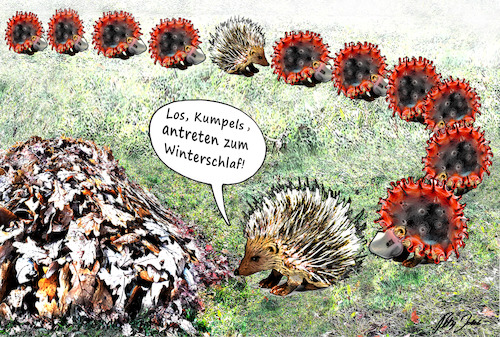 Cartoon: Antreten zum Winterschlaf (medium) by jakpet tagged corona,covid19,winterschlaf,igel,impfstoff,tiere,virus