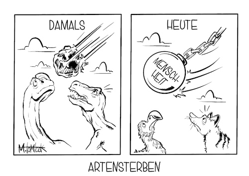 Artensterben