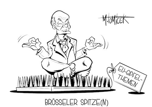 Brüsseler Spitzen