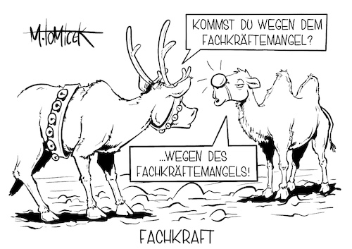 Fachkraft