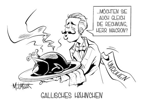 Gallisches Hähnchen