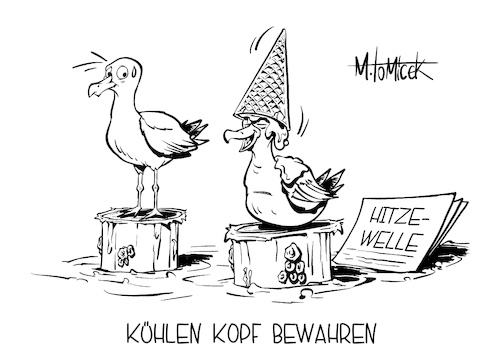 Kühlen Kopf bewahren