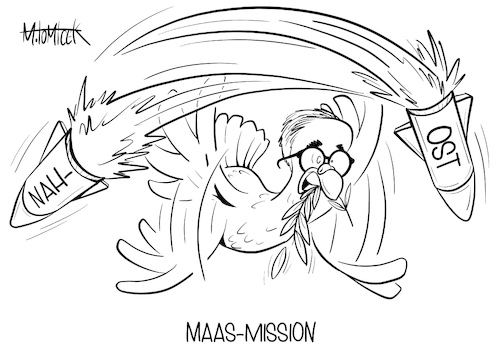 Maas-Mission
