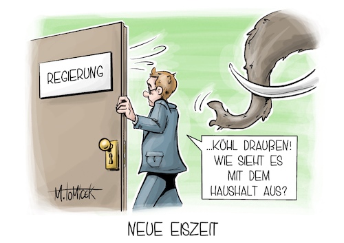 Neue Eiszeit