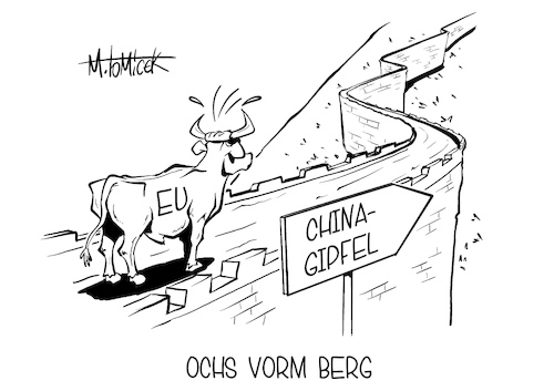Ochs vorm Berg