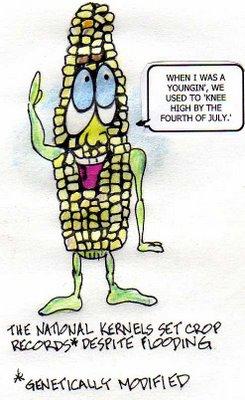 Cartoon: Record Corn Crop (medium) by dogbreath tagged economics