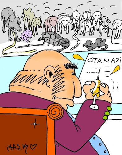 Cartoon: euthanasia decision (medium) by yasar kemal turan tagged euthanasia,decision