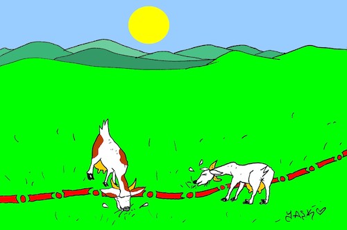 Cartoon: goats have no limits (medium) by yasar kemal turan tagged goats,have,no,limits