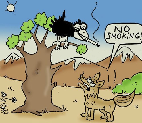 Cartoon: Smart Fox (medium) by yasar kemal turan tagged fox,smart