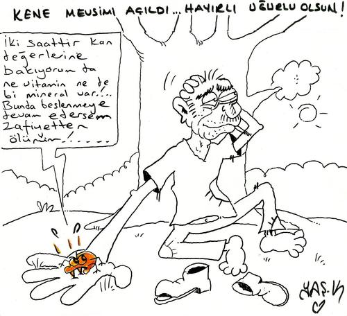 Cartoon: tick (medium) by yasar kemal turan tagged tick