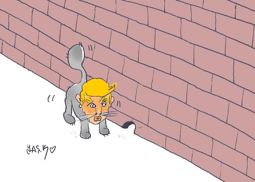 Cartoon: wall maniac (medium) by yasar kemal turan tagged wall,maniac
