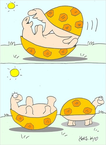 Cartoon: women and male (medium) by yasar kemal turan tagged women,and,male,turtle,love,shag