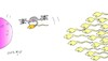 Cartoon: world of the elite (small) by yasar kemal turan tagged world,of,the,elite