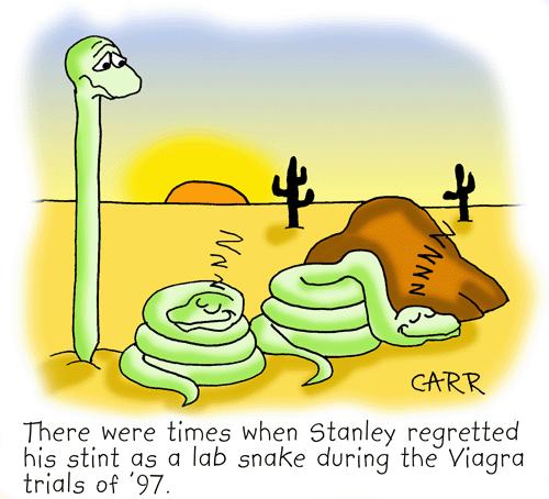 Cartoon: Ex-laboratory Snake (medium) by carrtoons tagged snakes,john,carr