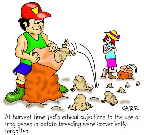 Cartoon: Genetic Engineering (medium) by carrtoons tagged ge,genetic,engineering,potatoes,agriculture,john,carr,carrtoon