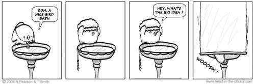Cartoon: Bird bath (medium) by timns tagged humor,comic,furry,kids,birds