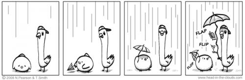 Cartoon: Brolly! (medium) by timns tagged birds,humor,furry,fuzzy