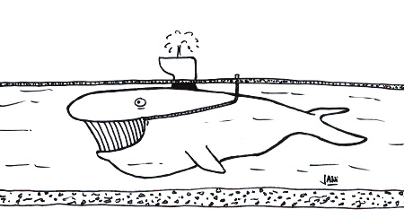 Cartoon: How bidet really works (medium) by Jani The Rock tagged whale,bidet