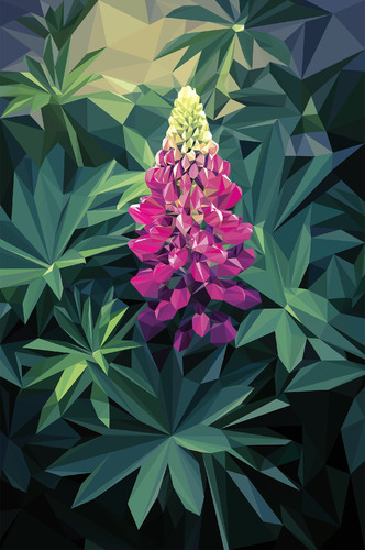 Cartoon: Lupine (medium) by alesza tagged lupine,flower,plant,nature,digital,illustration,lowpoly,design,art,spring,petal,blossom