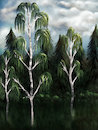 Cartoon: Three Birches (small) by alesza tagged three,birches,birch,birchtree,tree,forest,nature,landscape,digital,painting,art,artwork,illustration,drawing