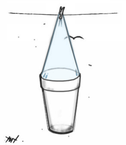 Cartoon: Water (medium) by Monica Zanet tagged climate,water,weather,zanet