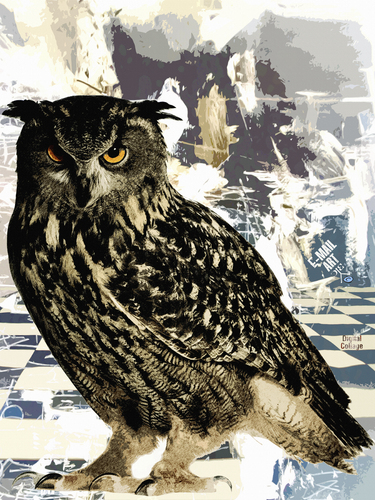 Cartoon: A Day for Night Bird (medium) by Zoran Spasojevic tagged day,for,night,bird,birds,owl,serbia,kragujevac,emailart,paske,spasojevic,zoran,graffit,digital,collage