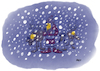 Cartoon: Xmas Online (small) by helmutk tagged culture