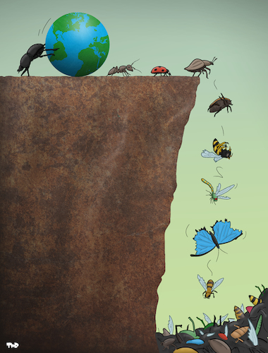 Cartoon: Insect Extinction (medium) by Tjeerd Royaards tagged insects,insecticide,extinct,cliff,earth,bees,beetle,insects,insecticide,extinct,cliff,earth,bees,beetle