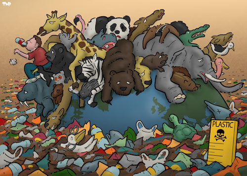 Plastic Plastic