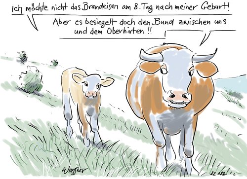 Cartoon: brandeisen (medium) by woessner tagged beschneidung,brandeisen,kuh,tiere,herde,besitz,zwang,festlegung,initiation,religion,kirche,judentum,islam,beschneidung,brandeisen,kuh,herde,besitz,festlegung,initiation,religion,kirche