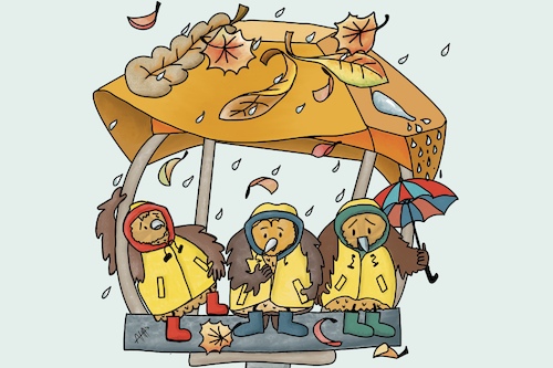 Cartoon: Herbst (medium) by Ah-kreativ tagged herbst,spatzen,vögel,regen,friesennerz