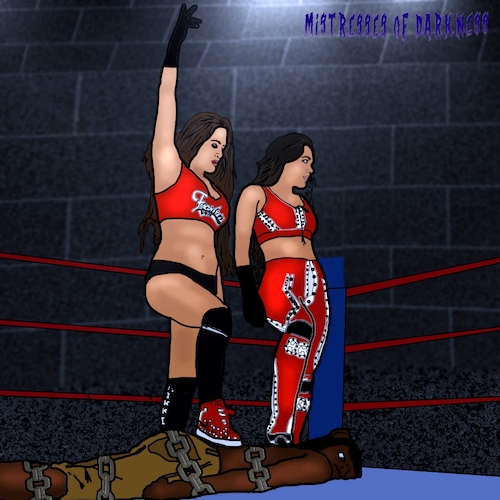 Cartoon: Mistresstopia Bella Twins (medium) by Mistresstopia tagged mistresstopia