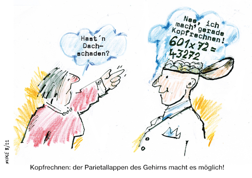 Cartoon: Dachschaden (medium) by MIKE GRUNZKE tagged math2022