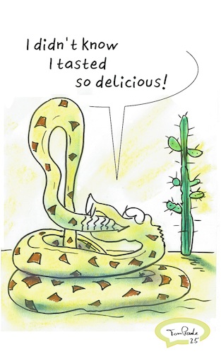 Cartoon: Year of the Snake (medium) by TomPauLeser tagged year,of,the,snake,china,chinese,dry,drought,water,shortage,horoscope,rattlesnake,desert,cactus,midgard,world,schlapplachsachen,tompaule,conflagration,ragnarök,ouroboros,return,introspective