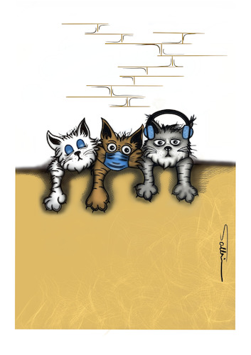 The three cats