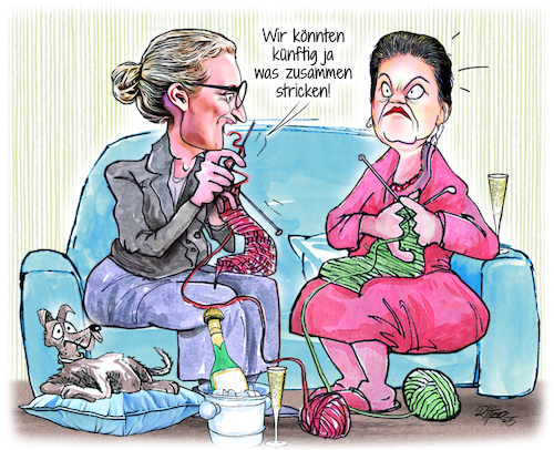 Cartoon: Gemeinsames Stricken (medium) by Ritter-Cartoons tagged bsw,und,afd,annäherung,bsw,und,afd,annäherung