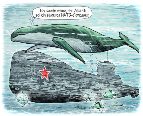 Cartoon: Wal Timmy (medium) by Ritter-Cartoons tagged drama,um,wal,timmy,pressekarikaturen,und,cartoons,von,berthold,ritter,facebook,seite,ritterkarikaturen,drama,um,wal,timmy,pressekarikaturen,und,cartoons,von,berthold,ritter,facebook,seite,ritterkarikaturen