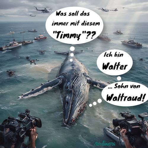 Cartoon: Mein Gott Walter (medium) by MorituruS tagged ostsee,buckelwal,timmy,hope,ostseeinsel,poel,gestrandet,wal,sandbank,untiefe,bucht,insel,rettungsaktion,drohnenbilder,medienhype,medienrummel,hysterie,sentimentalität,luftkissen,peilsender,cartoon,karikatur,moriturus